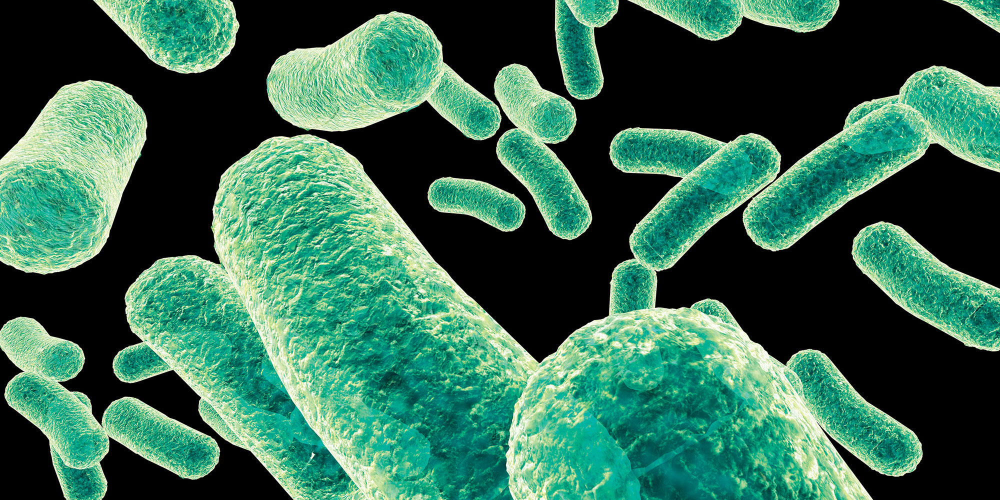 antimicrobial yarn treatment