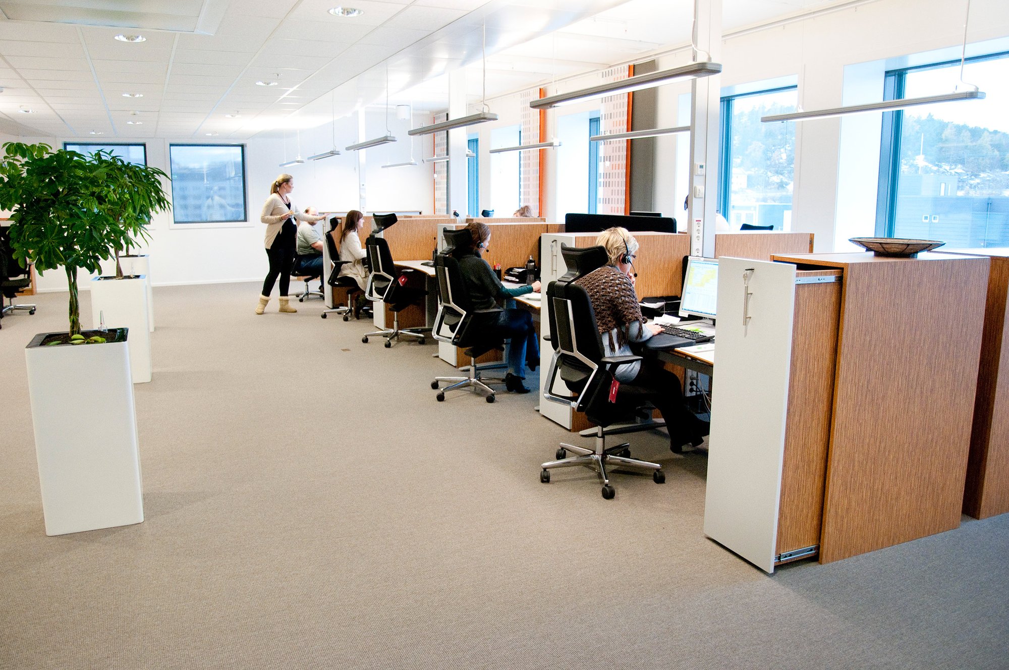 Commercial Carpet supplier