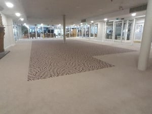 Economix bordering Evolution