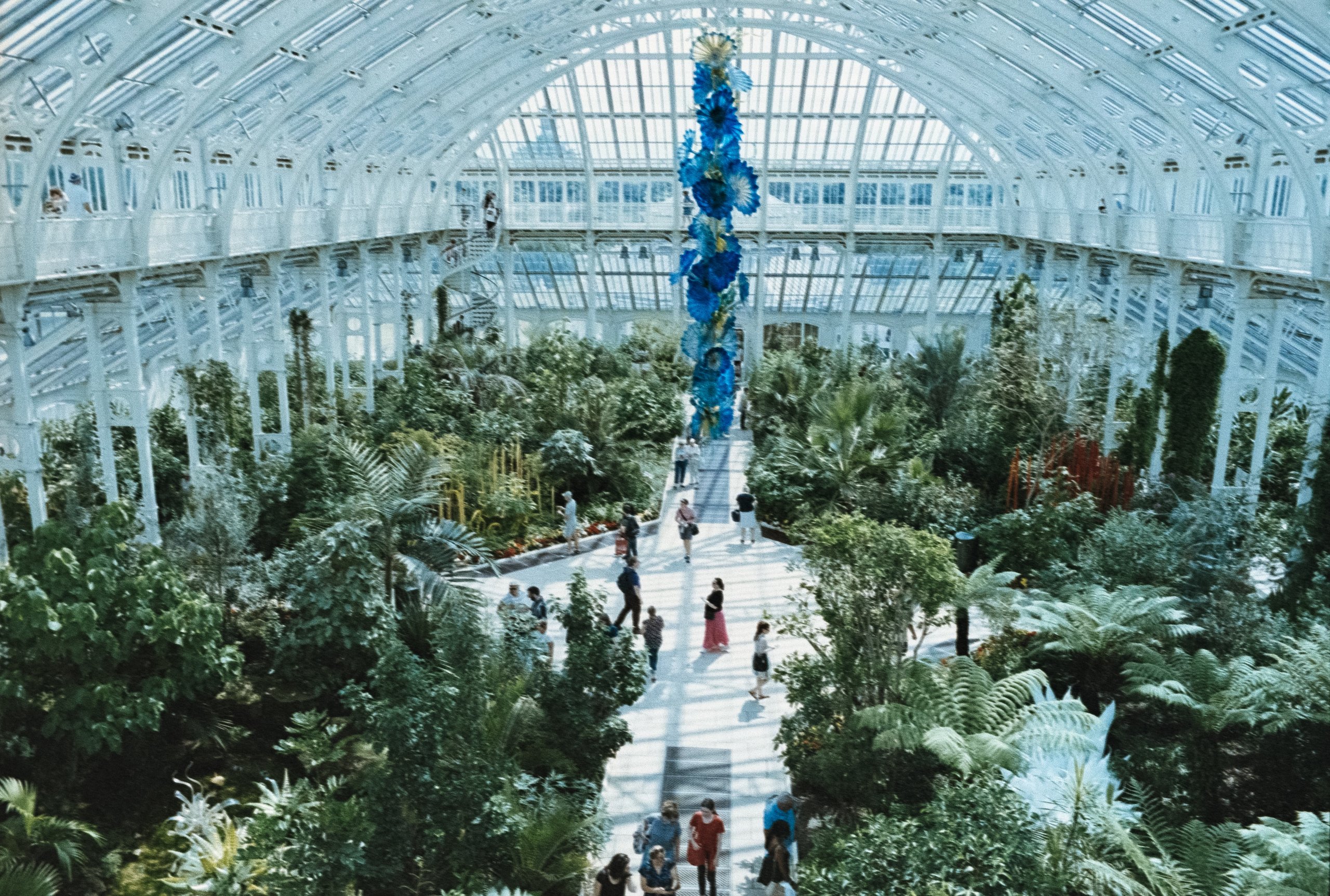 Greenhouse effect