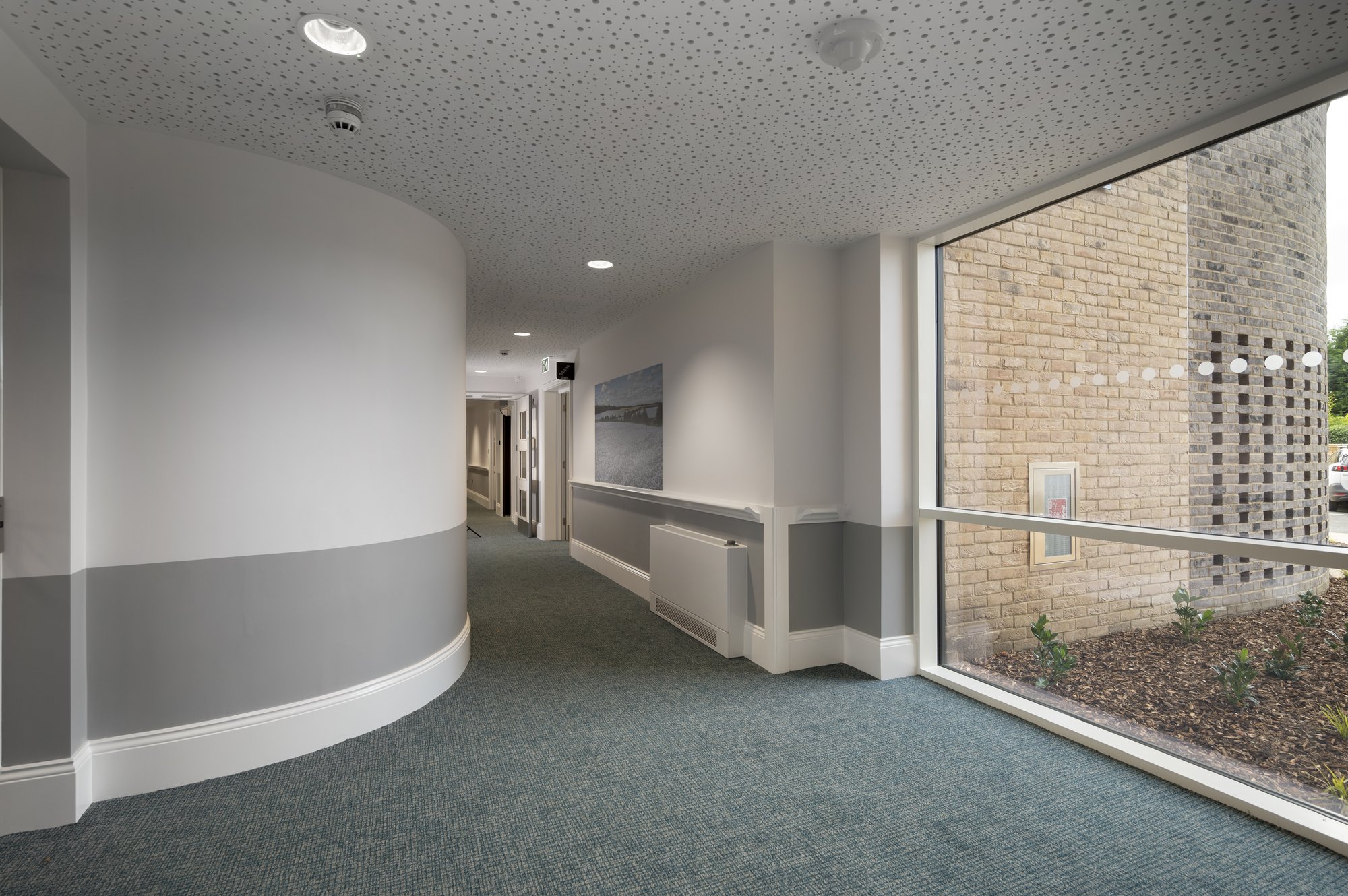 corridor carpet